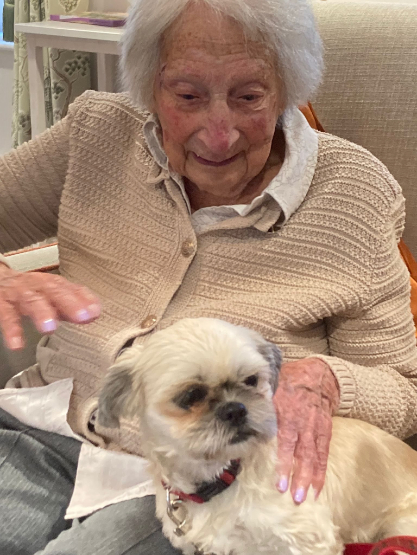 Resident at Highwood Care Home stroking therapy dog