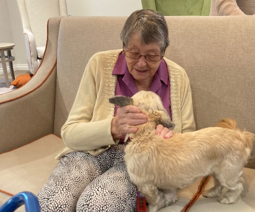 Resident at Highwood Care Home stroking therapy dog